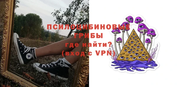 стафф Алексин