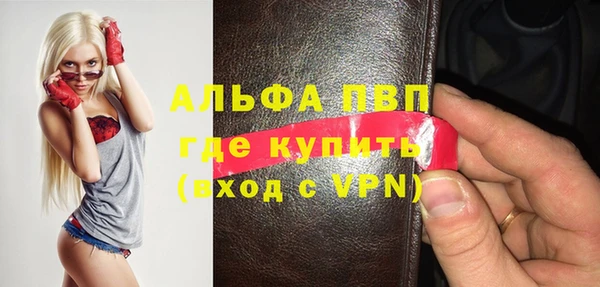 стафф Алексин