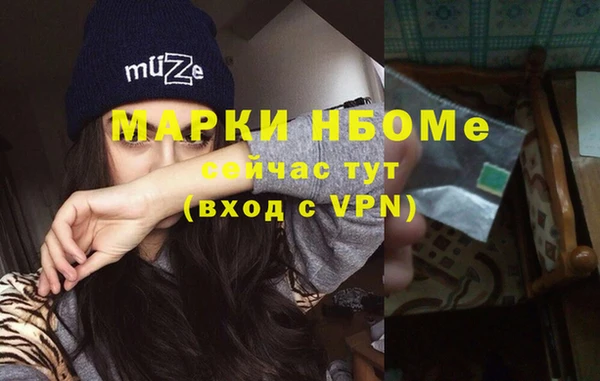 стафф Алексин