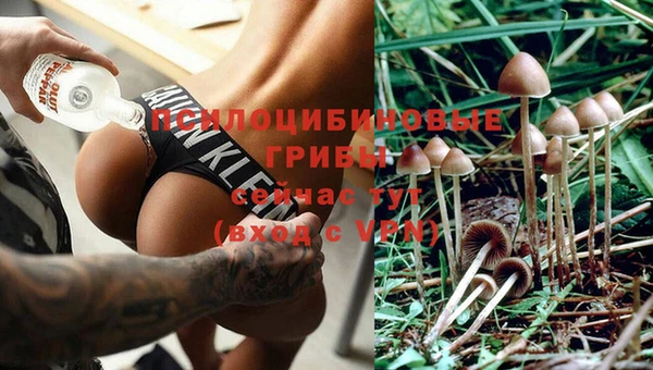 кокаин премиум Алексеевка