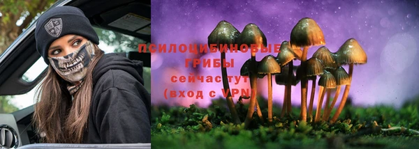 a pvp Вязники