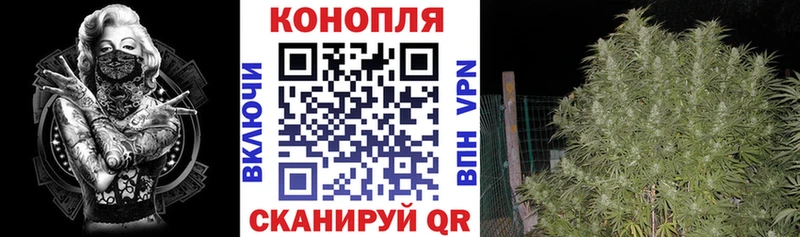МАРИХУАНА сатива  Лобня 